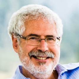 Steve Blank Agent